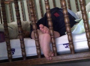 196260_542788362406390_601881067_n