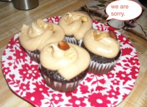 famous poo cupcakes.