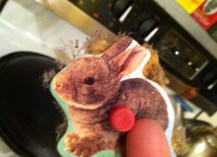 This is an actual dust bunny.