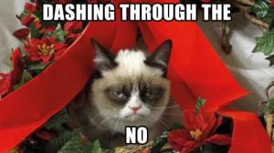 grumpy-cat-meme-christmasanimals-grumpy-cat-meme-pictures-humor-funny-cats-christmas-qcu3d2p8