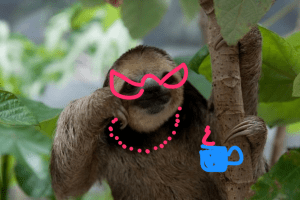 Sloth2