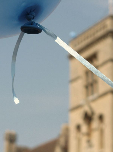 JMC Photos @flickr.com