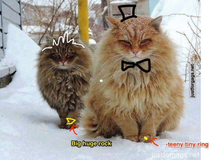 "I love you." "I know."