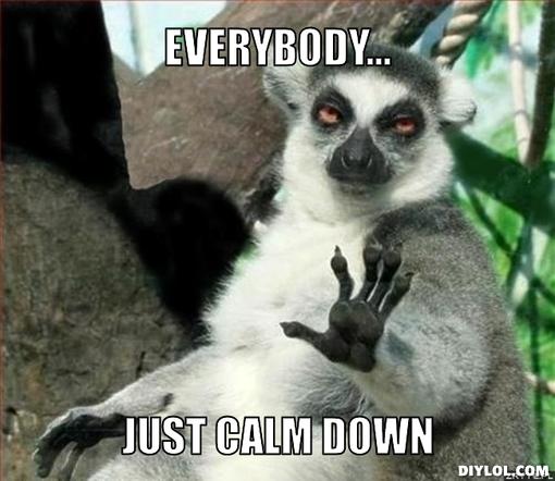 lemur-meme-generator-everybody-just-calm-down-1c5a00