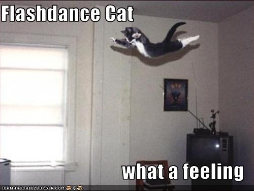 23ac5c4db44c31fb1781d76f42e6b5ee