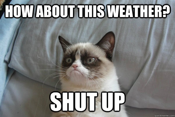 baf60a3795a2f8b4851b4dcb8bbd5887