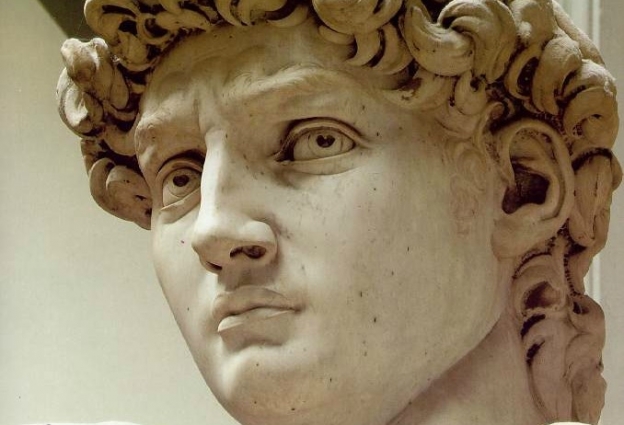 michelangelo_david_head2