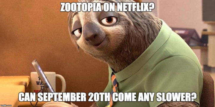 Zootopia Meme(1).jpg