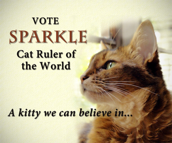 CatRulerSparkleBanner1.jpg