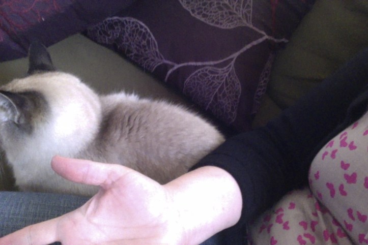 Photo on 4-28-17 at 12.00 PM.jpg