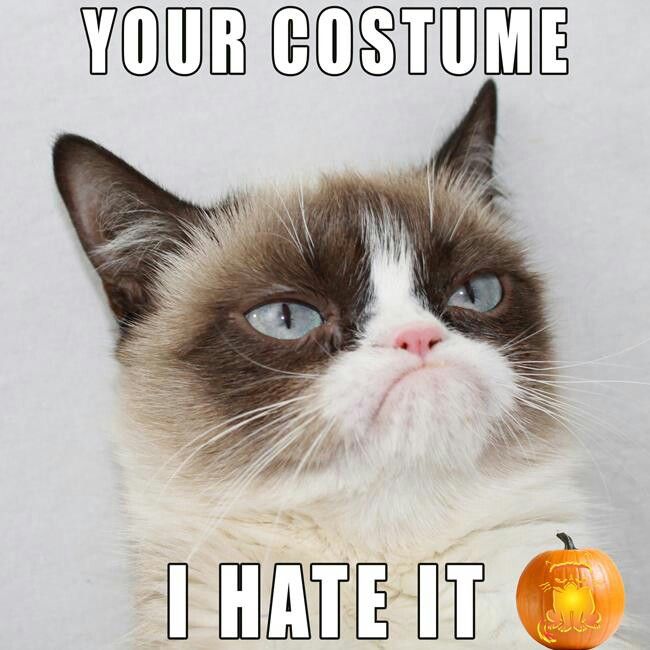 143e139b3f6fba5ebe5c463c9a050ac3--grumpy-cat-meme-grumpy-kitty-1.jpg