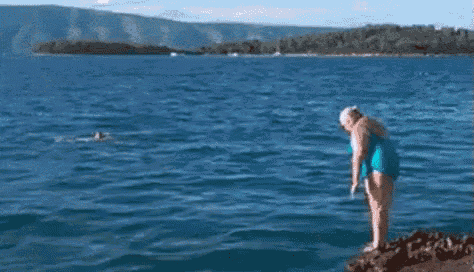 ms-i2i9Q8.gif